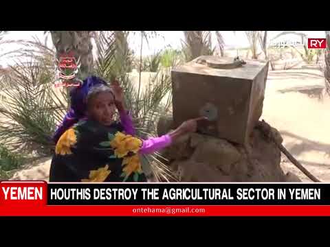 HOUTHIS DESTROY THE AGRICULTURAL SECTOR IN YEMEN